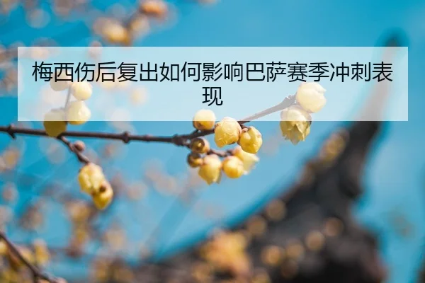 mei-xi-shang-hou-fu-chu-ru-he-ying-xiang-ba-sa-sai-ji-chong-ci-biao-xian-2-396.jpg